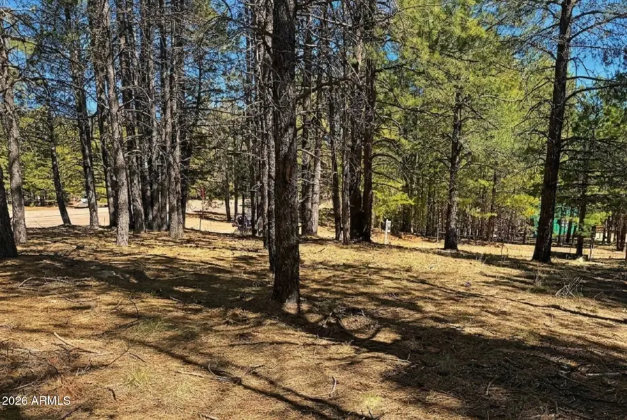 1080 Pond Circle #890, Forest Lakes, AZ 85931 - #2