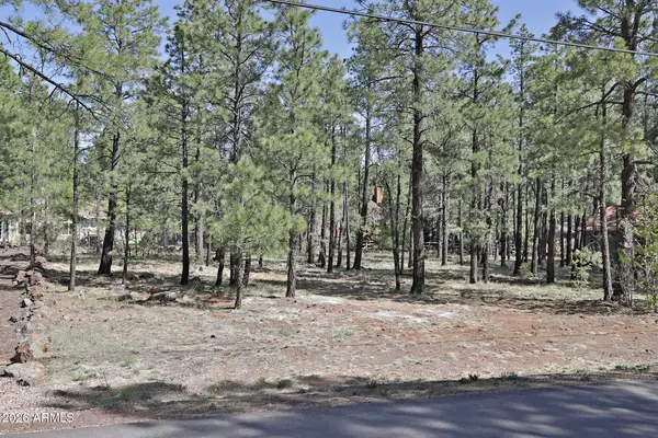 7466 Buck Springs Road #175, Pinetop, AZ 85935