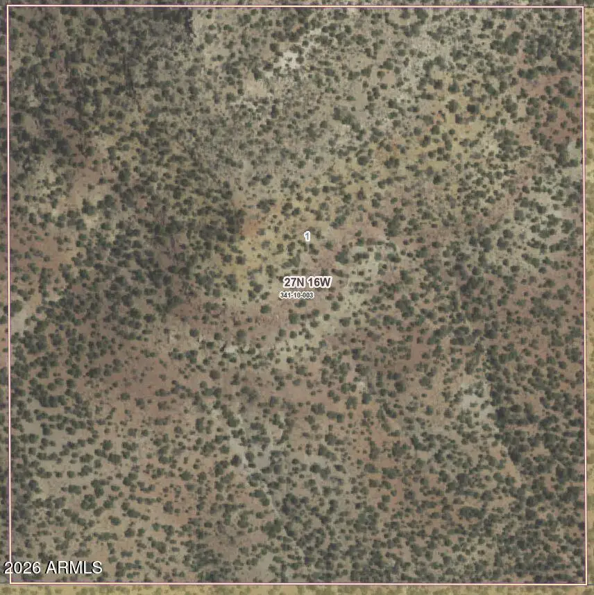 XX Music Ranch Road, Meadview, AZ 86444 - #2