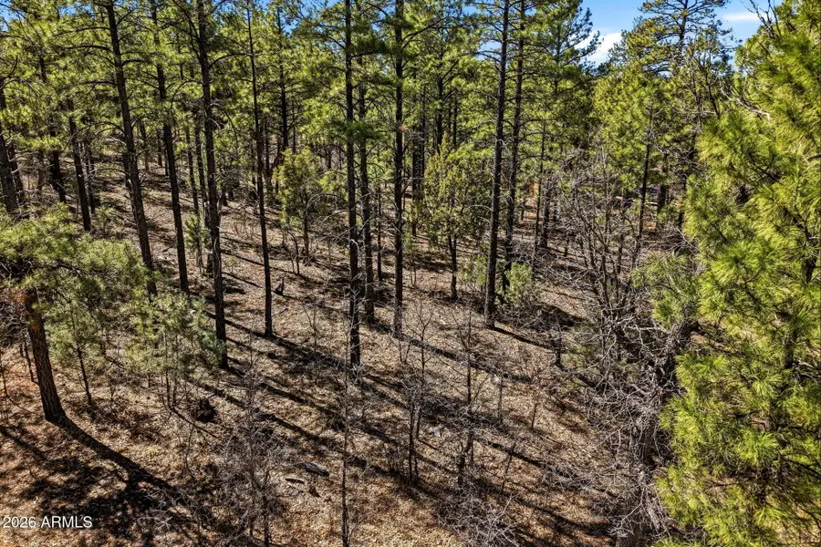 3581 W Senna Lane W #247, Show Low, AZ 85901 - #3