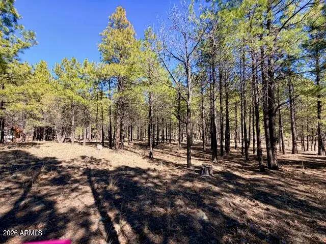 1865 Pine Canyon Drive #168, Happy Jack, AZ 86024 - #3