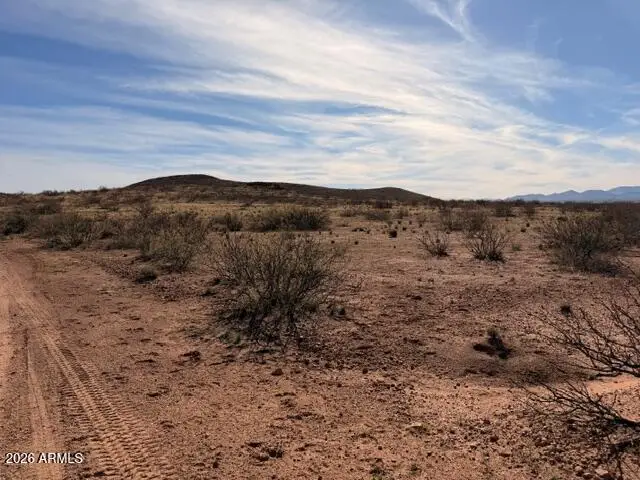 TBD E Dougherty Road #207, Pearce, AZ 85625 - #3