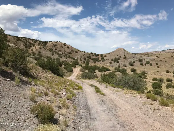 0 Lot N5338 --, Concho, AZ 85924