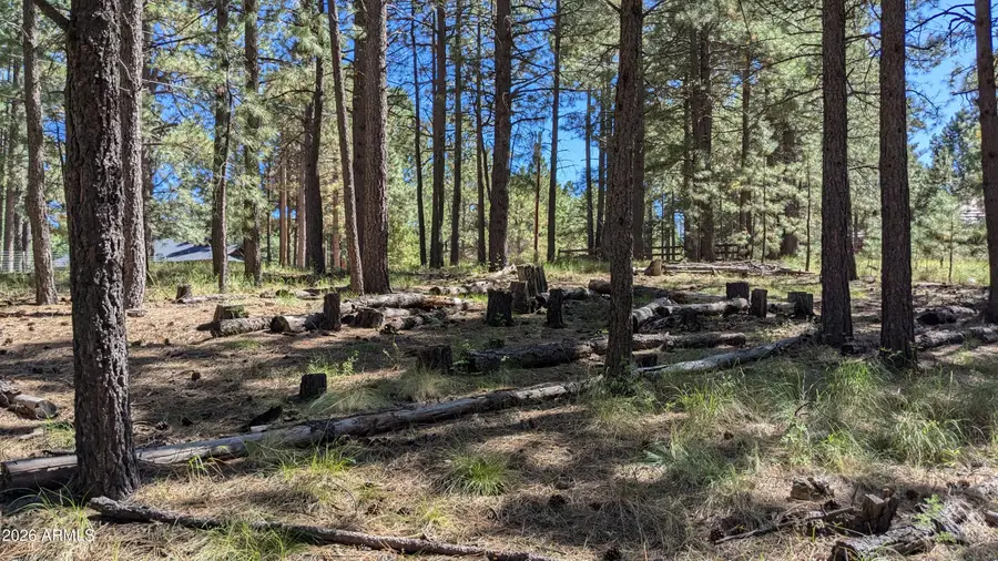 1878 Sheep Springs Road #427, Forest Lakes, AZ 85931 - #2