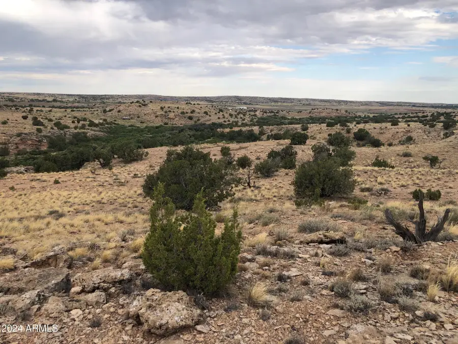 100 River Springs Ranch -- #100, Saint Johns, AZ 85936 - #3