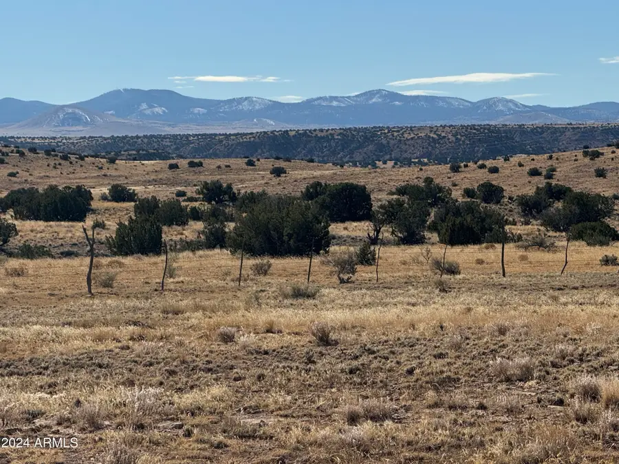 334 River Springs Ranch -- #334, Saint Johns, AZ 85936 - #2