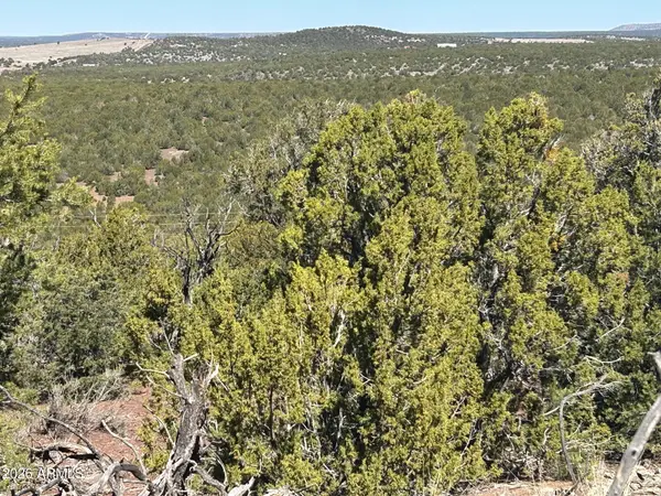 lot 80 Ranch Road #80, Vernon, AZ 85940