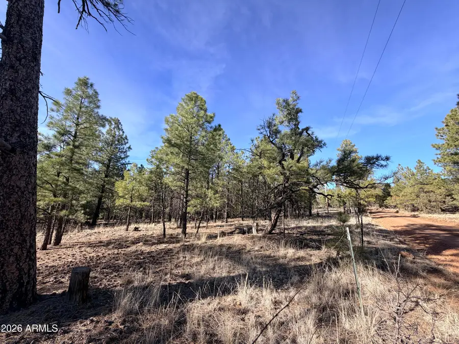 2397 Wigeon Way #6, Happy Jack, AZ 86024 - #3