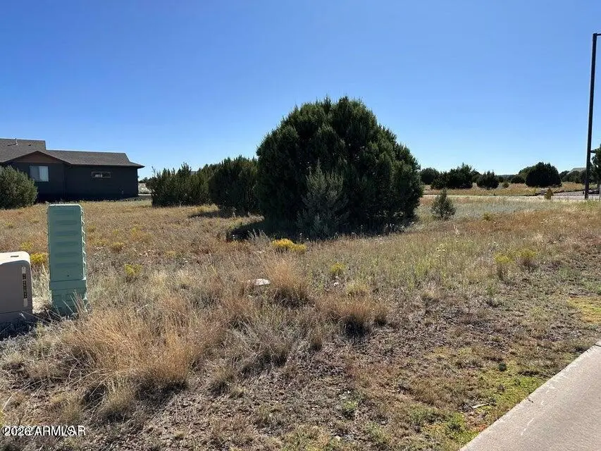 1061 S Ridgeline Drive #23, Show Low, AZ 85901 - #2