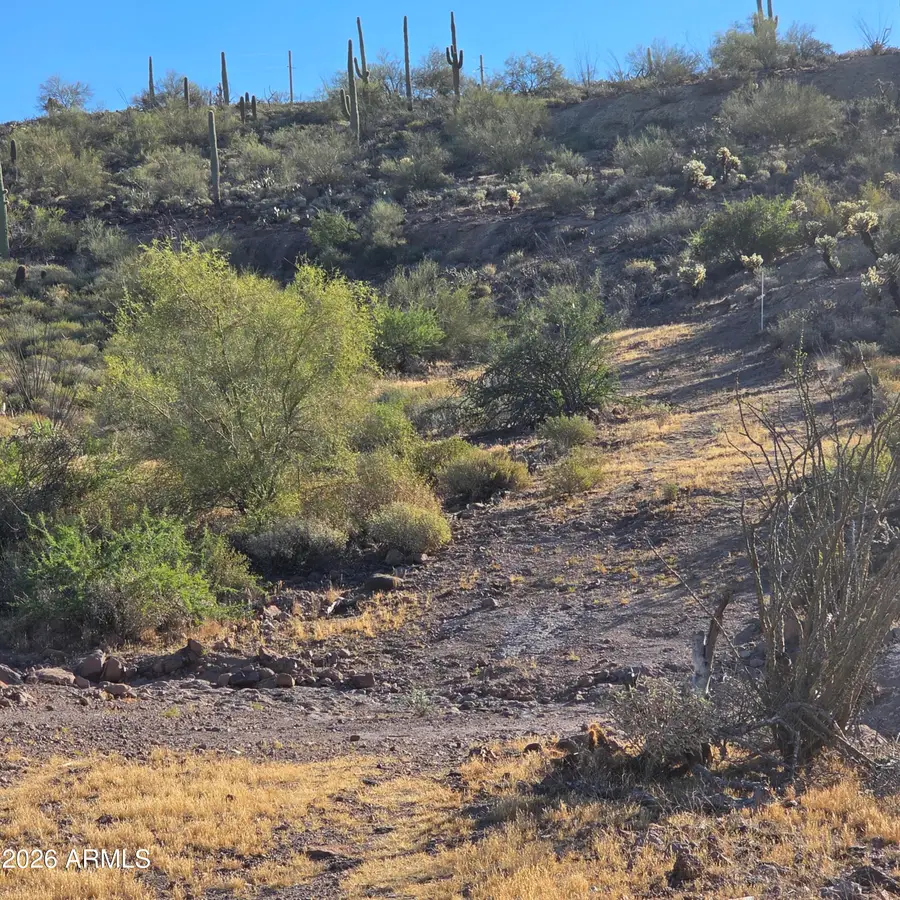 0 Elephant Butte --, Queen Valley, AZ 85118 - #3