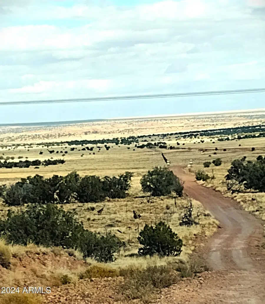 Lot 88 Ranch Of The White Mountains -- #088, Concho, AZ 85924 - #3