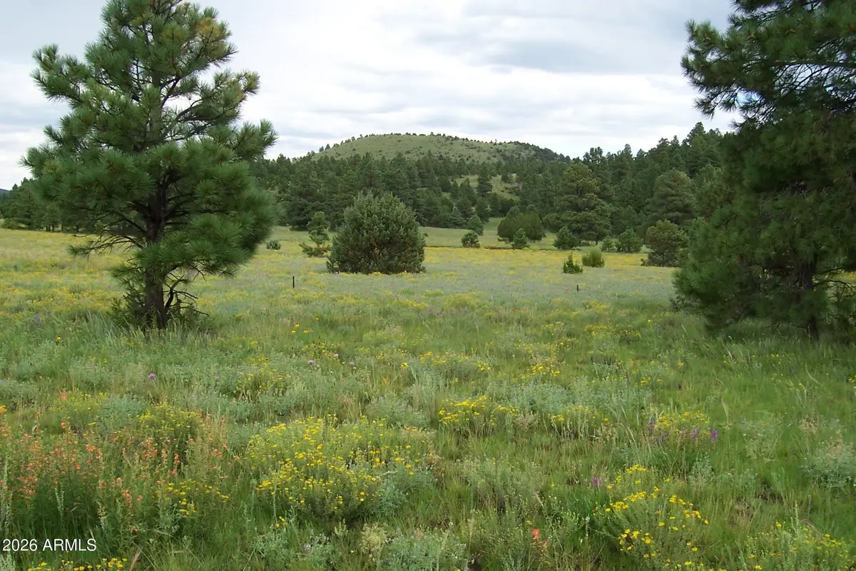 Lot 5 Red Cabin Ranch Unit Ii -- #5, Vernon, AZ 85940 - #1