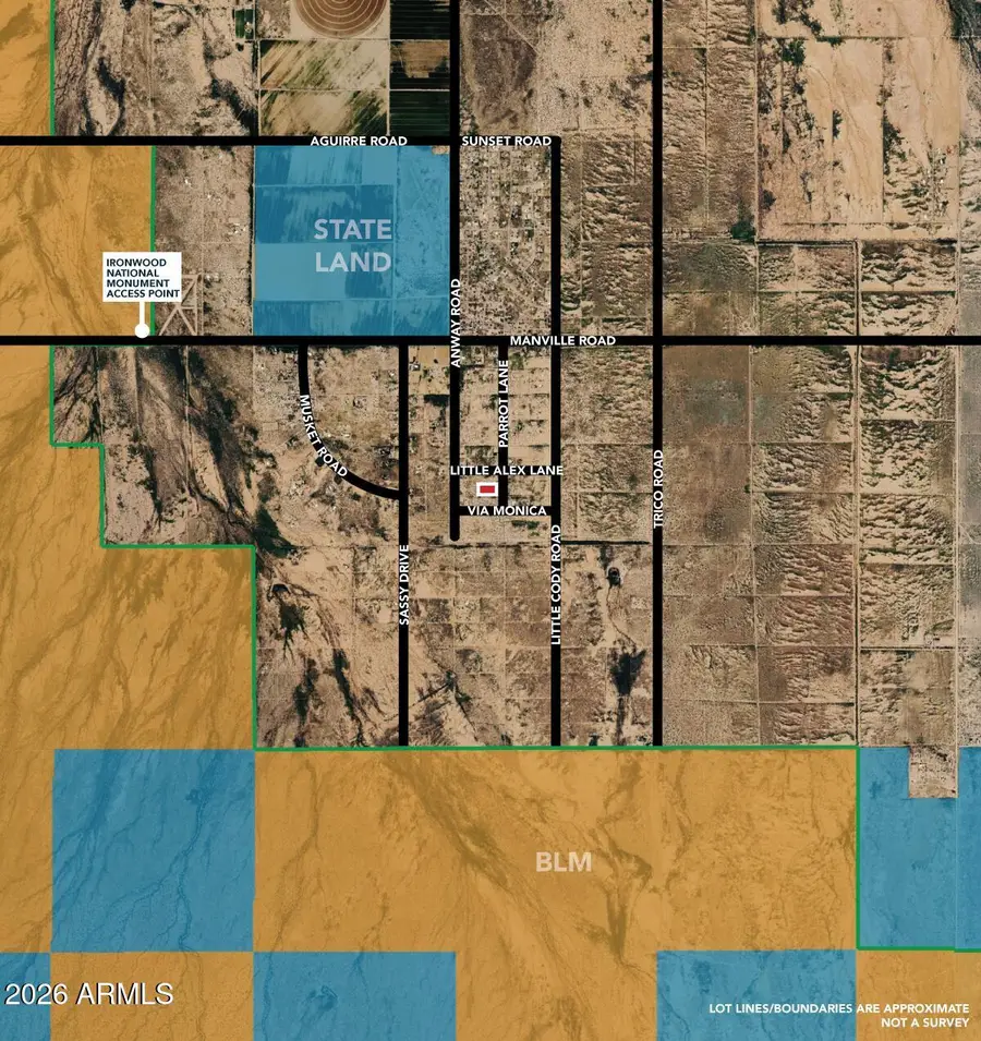 5acres N Parrot Lane, Marana, AZ 85653 - #3