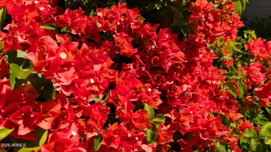 1643 N 22nd Place, Phoenix, AZ 85006 - #3