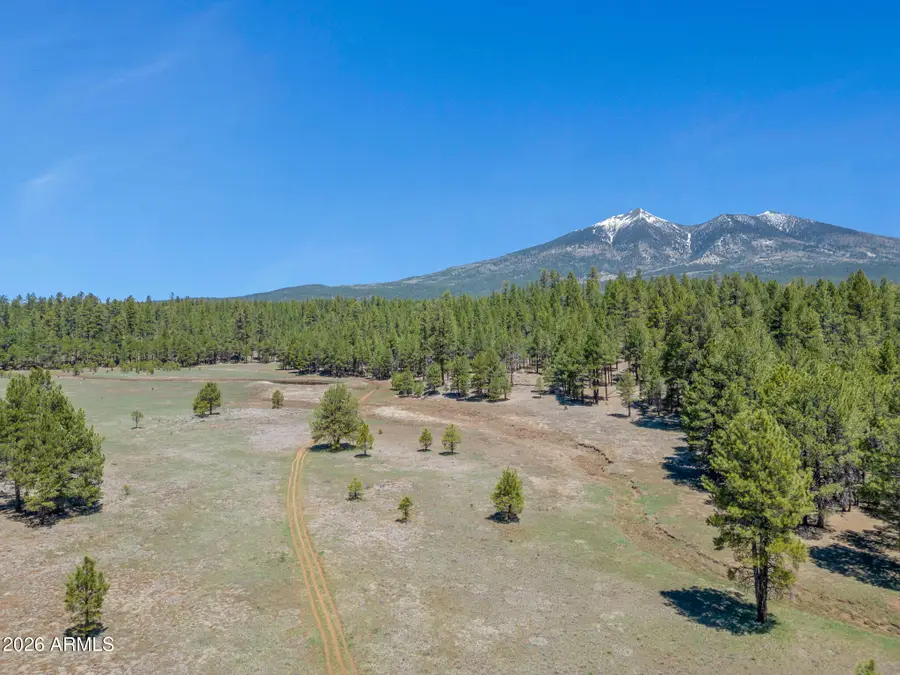 5216 Hidden Hollow Road, Flagstaff, AZ 86001 - #3