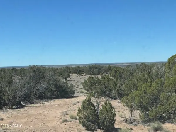 Lot 96 Bonito Valley Ranch -- #96, St Johns, AZ 85936