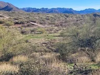 13318 N Goldfield Road #9, Fort Mcdowell, AZ 85264 - #3