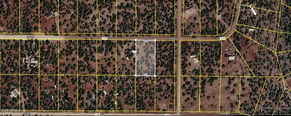 30 Acr 3190 Road #351, Vernon, AZ 85940