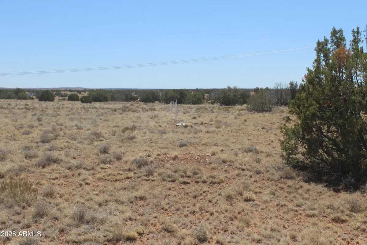 5999 Mesa View Lot 149 Drive #149, Heber, AZ 85928 - #1