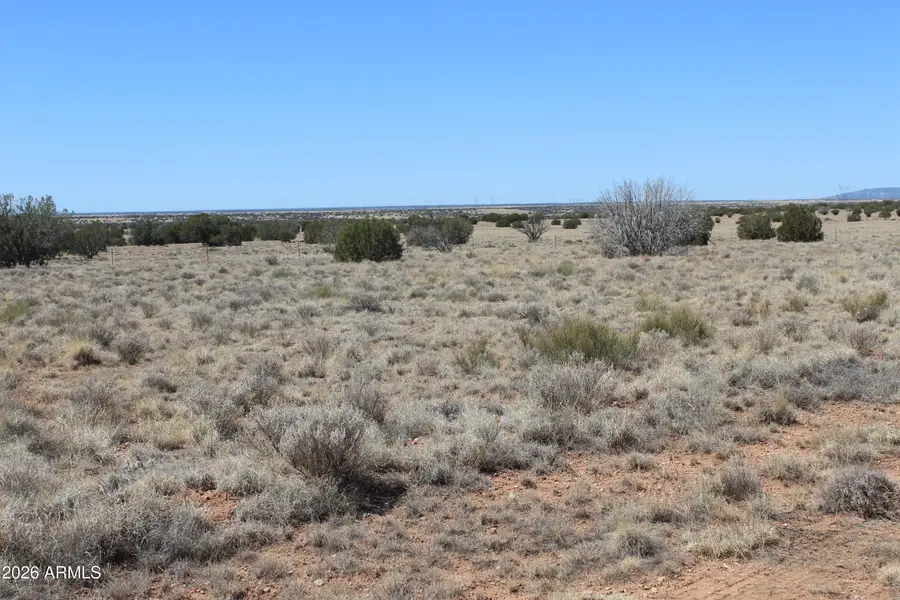 5999 Mesa View Lot 149 Drive #149, Heber, AZ 85928 - #3