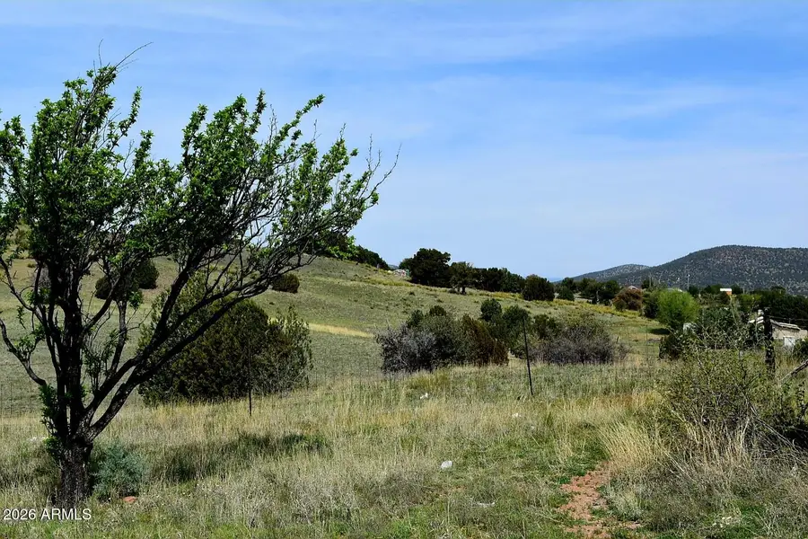550 S Rolling Hills Road, Young, AZ 85554 - #2