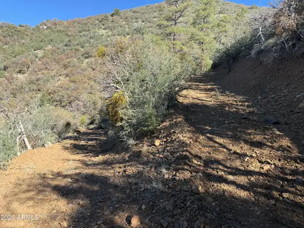 22560 S Gladiator Mine Road, Crown King, AZ 86343