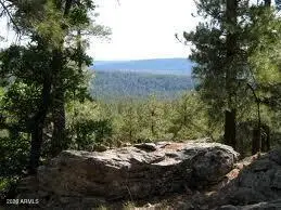 3378 Windy Lane #139, Heber, AZ 85928