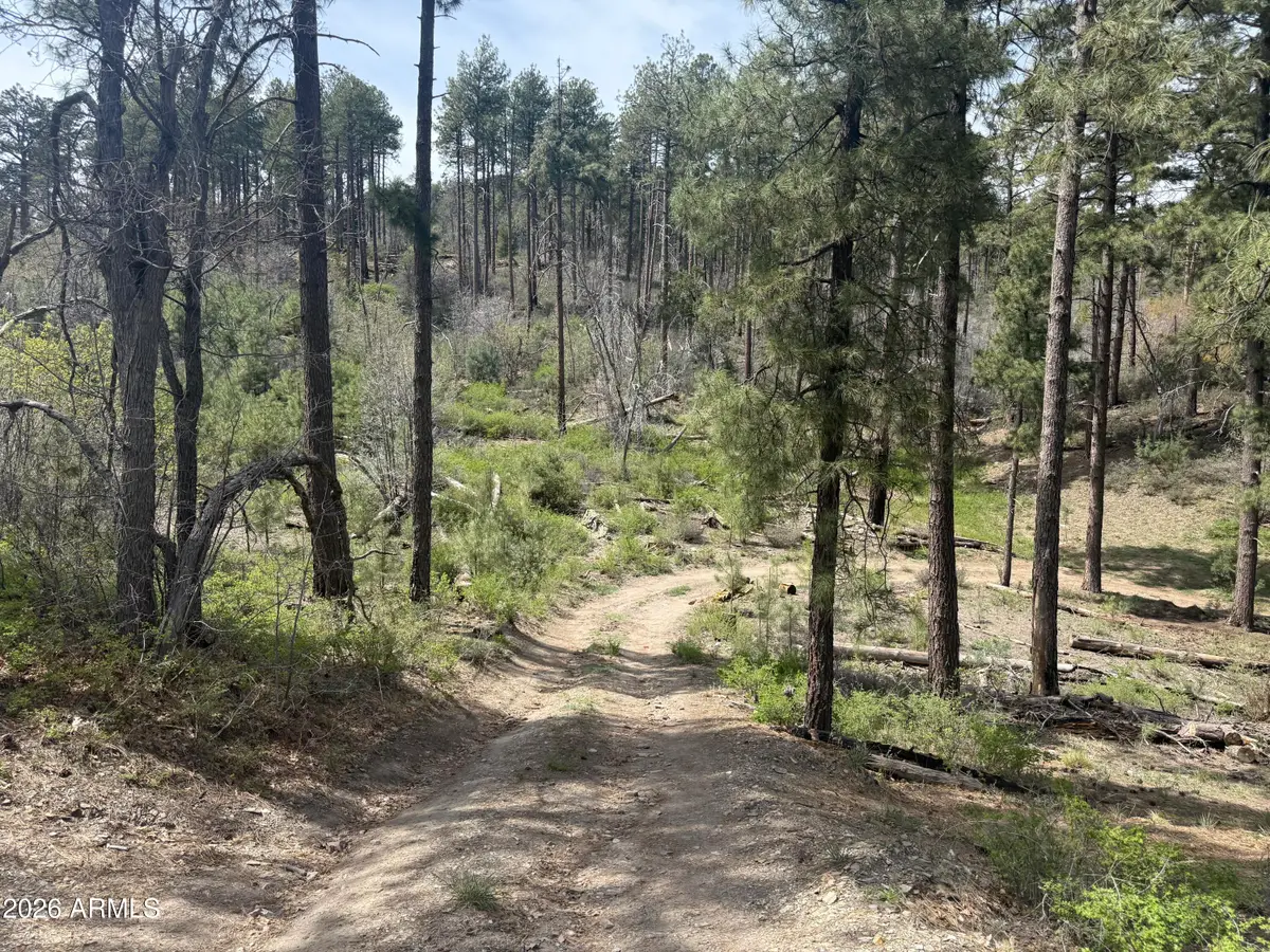 00 E Wild Flower Road, Crown King, AZ 86343 - #1