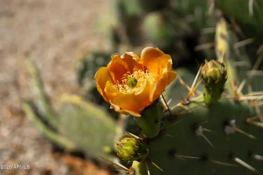 30472 N Sunray Drive, San Tan Valley, AZ 85143 - #2