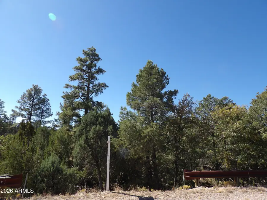 3642 Pinehurst Drive #169, Happy Jack, AZ 86024 - #2