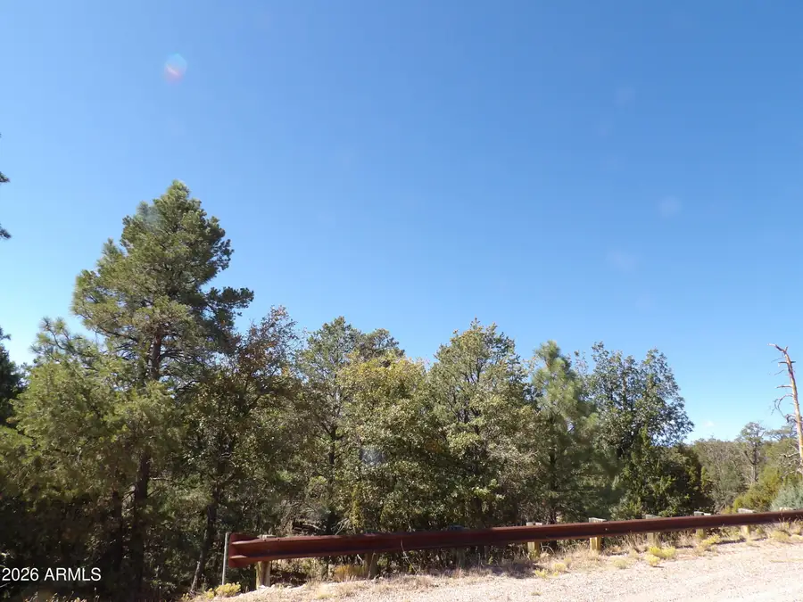 3642 Pinehurst Drive #169, Happy Jack, AZ 86024 - #3