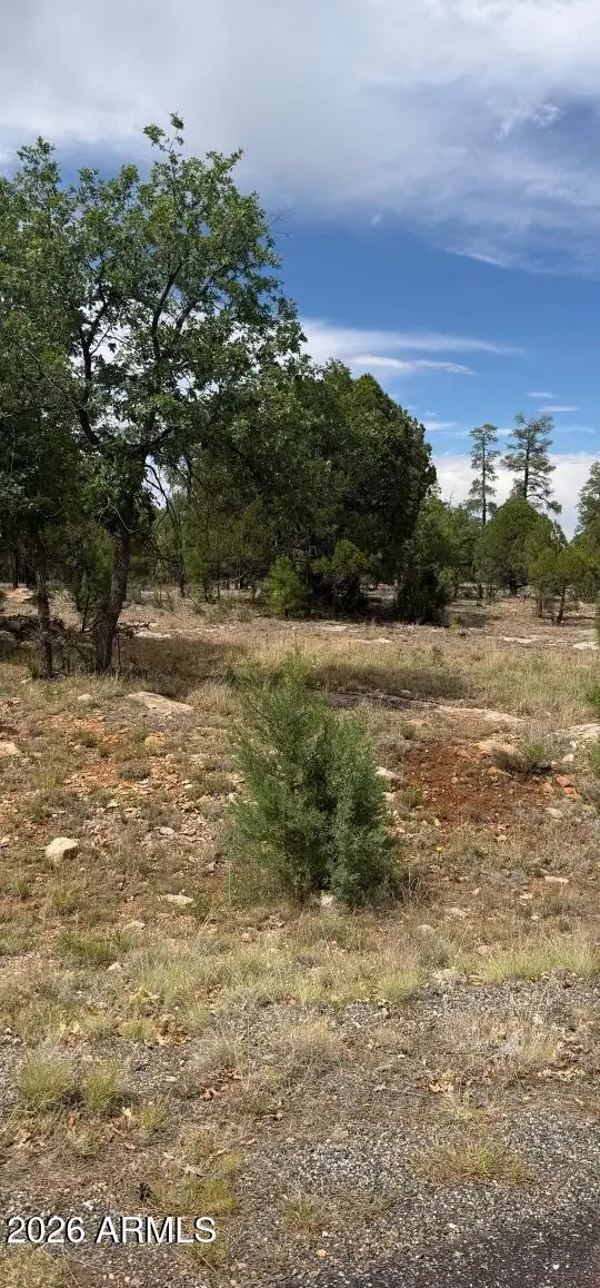 2989 Robin Lane, Happy Jack, AZ 86024 - #1