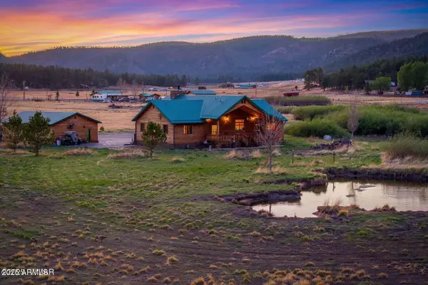 216 County Road 2311 --, Alpine, AZ 85920