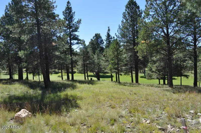 2900 S Solitaires Canyon Drive #345, Flagstaff, AZ 86005 - #1