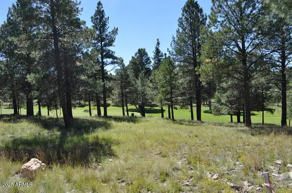 2900 S Solitaires Canyon Drive #345, Flagstaff, AZ 86005