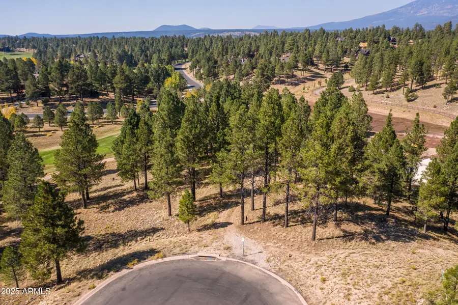2900 S Solitaires Canyon Drive #345, Flagstaff, AZ 86005 - #3