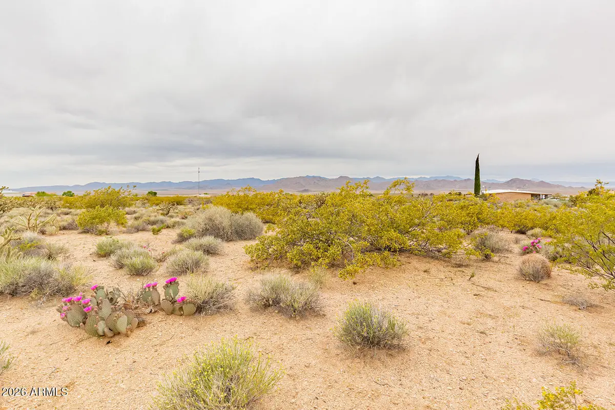 8699 N Cochise Place #430, Kingman, AZ 86401 - #1