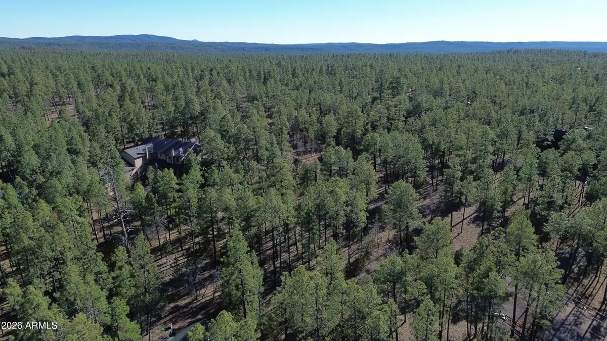 2875 S Timber Pine Lane, Pinetop, AZ 85935 - #1