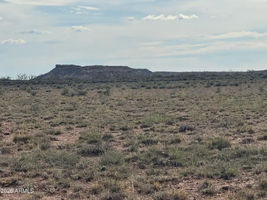 Tract 439 Painted Desert Ranches -- #439.440,441,442, Winslow Holbrook, AZ 85634 - #2