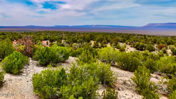 31326 Cll Barril 9.34 Acres --, Seligman, AZ 86337