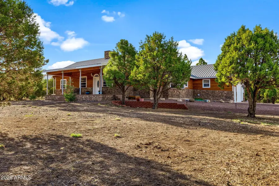 31 E County Road N2163 Drive, Nutrioso, AZ 85932 - #2