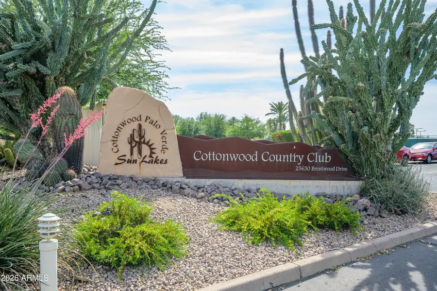 26006 S Beech Creek Drive, Sun Lakes, AZ 85248 - #2