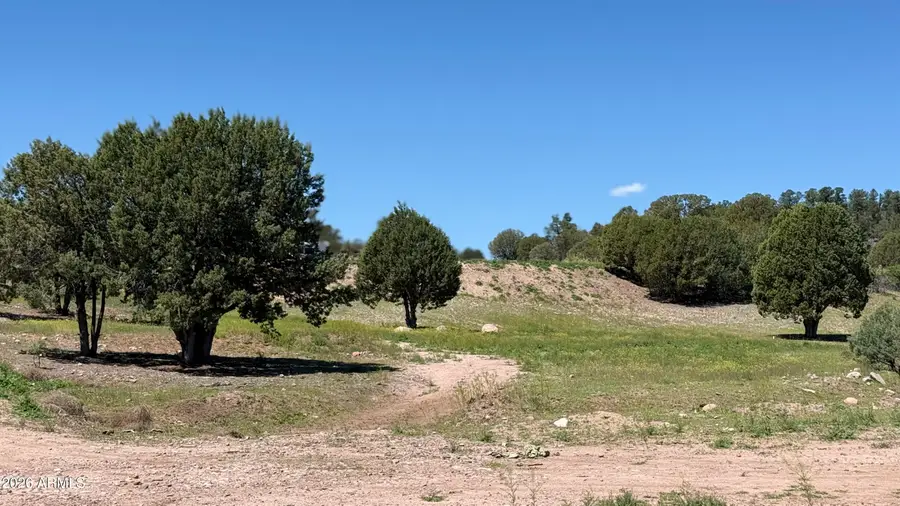 224 W Cooper Ridge #1, Young, AZ 85554 - #3