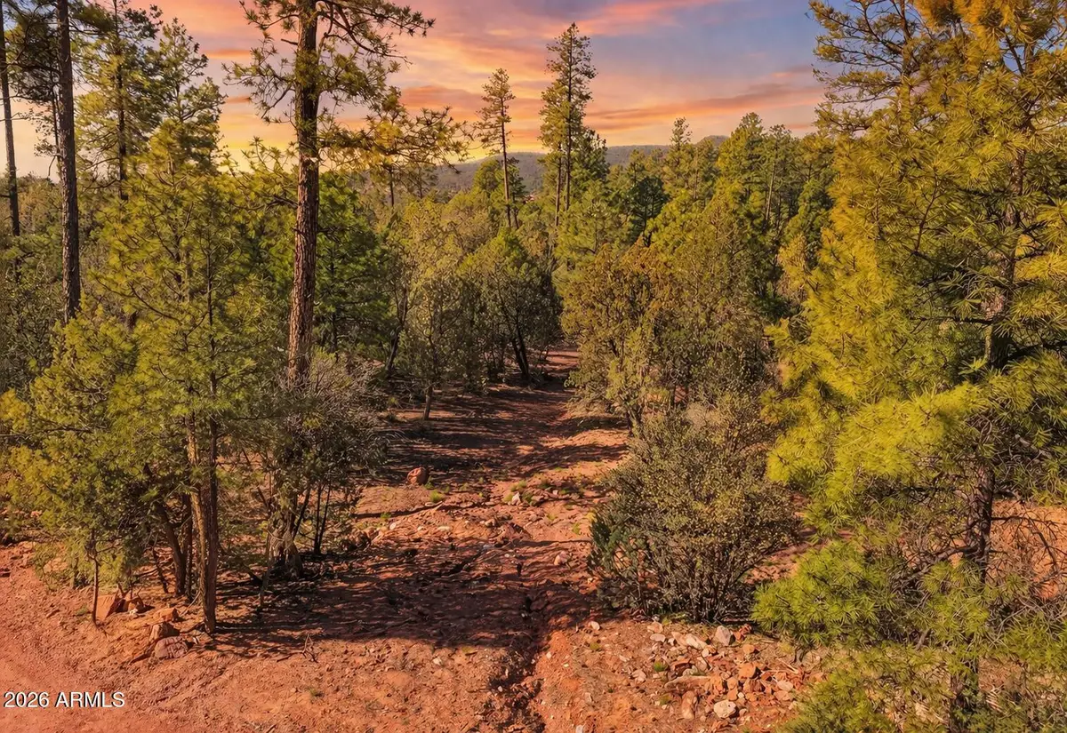 0 Fawn Drive #5, Pine, AZ 85544 - #1