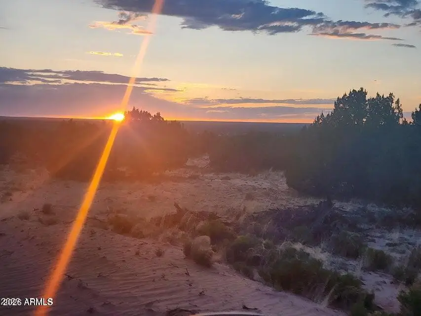 000 N Tbd Drive #180-A, Saint Johns, AZ 85936 - #1