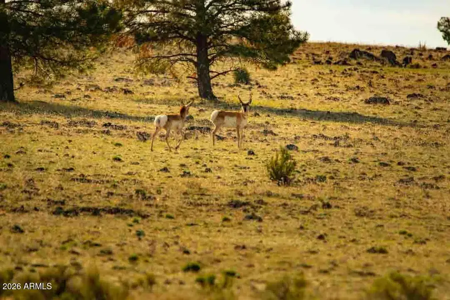 3633 Sunset Ridge Loop #166, Happy Jack, AZ 86024 - #2