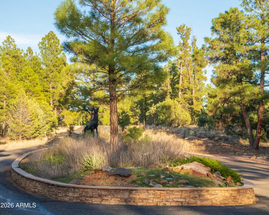 3633 Sunset Ridge Loop #166, Happy Jack, AZ 86024 - #3