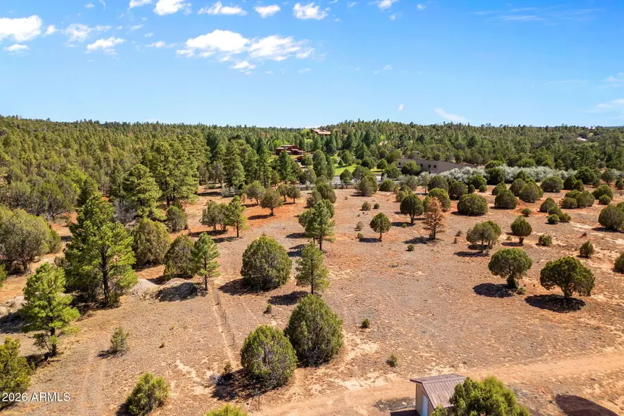 3765 Saddle Bow Road Road, Show Low, AZ 85901 - #2