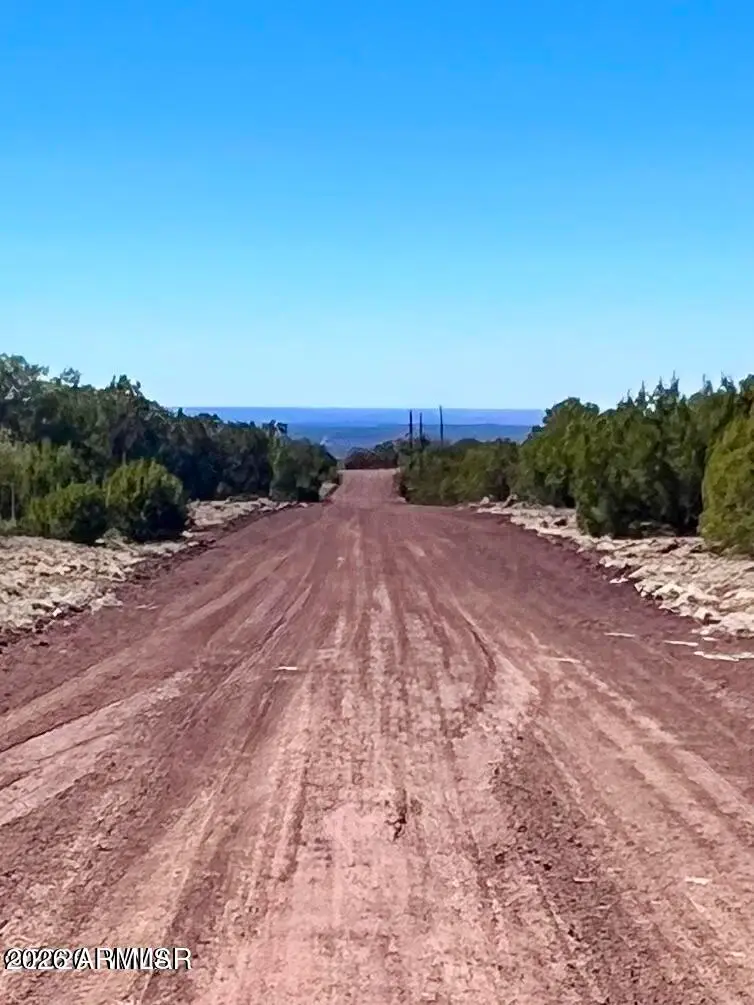 TBD Co Rd 8307 Lot 100 --, Concho, AZ 85924 - #1