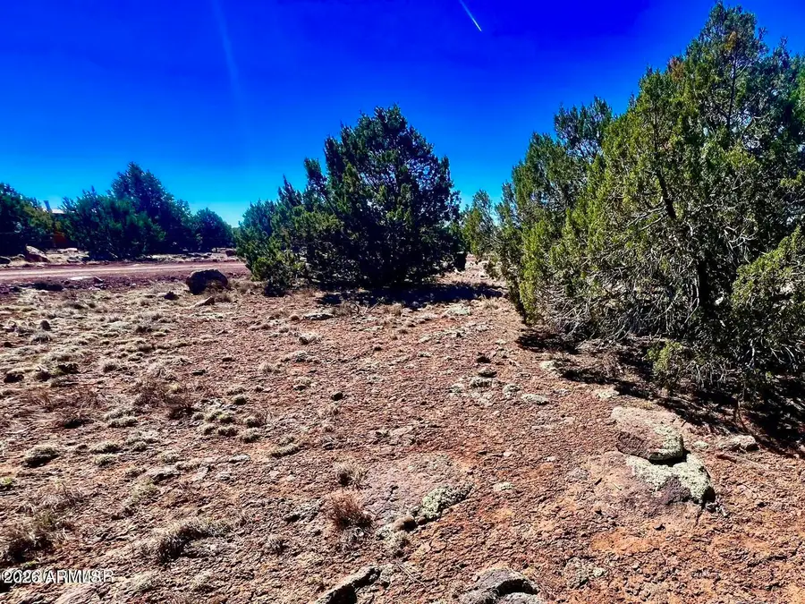 TBD Co Rd 8307 Lot 100 --, Concho, AZ 85924 - #3